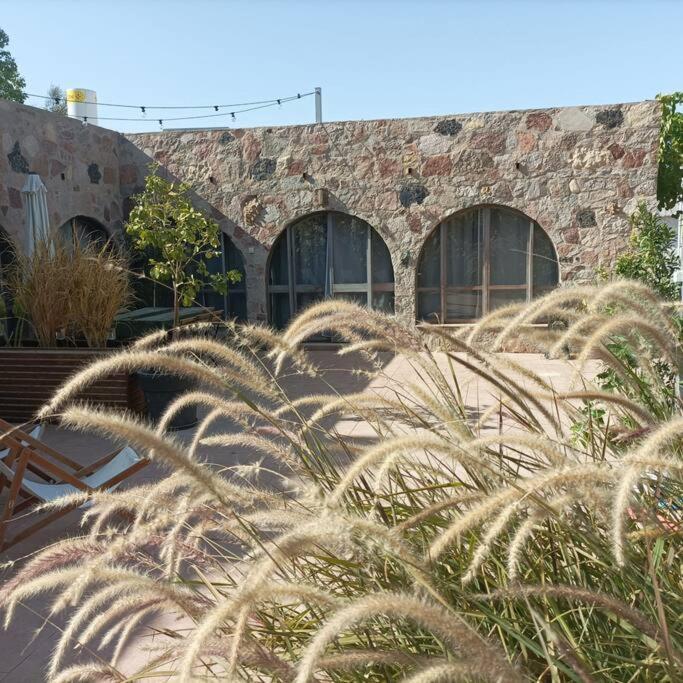 Eilat Stone Terrace-אילת סטון טראס公寓 外观 照片