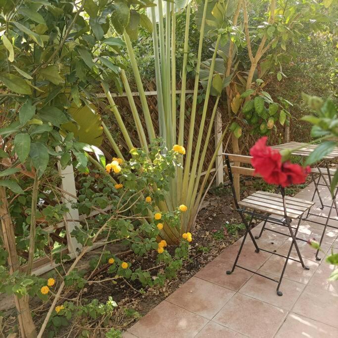Eilat Stone Terrace-אילת סטון טראס公寓 外观 照片